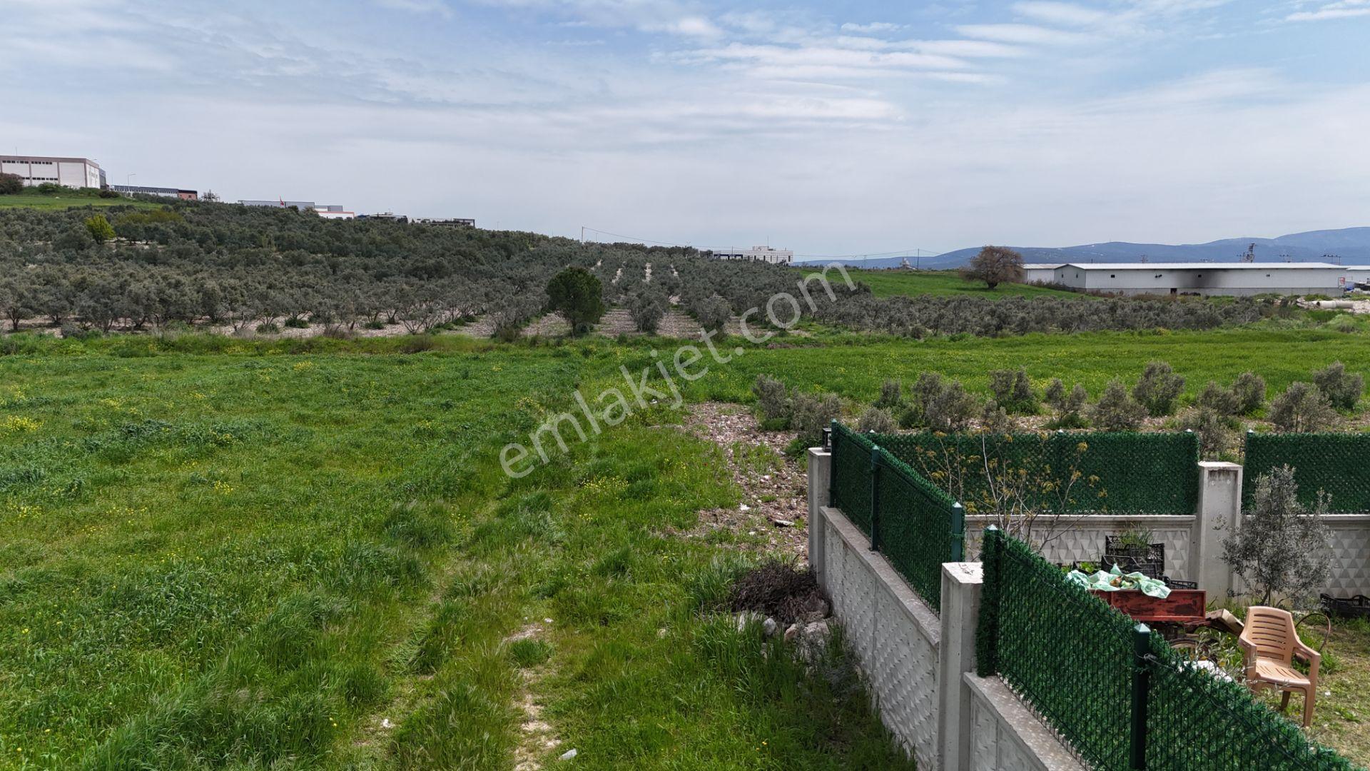 İzmir Menderes Tekelide Konut-villa 695 M2 Doğalgazlı Köşe Arsa İnşaat Yap - Görsel 14