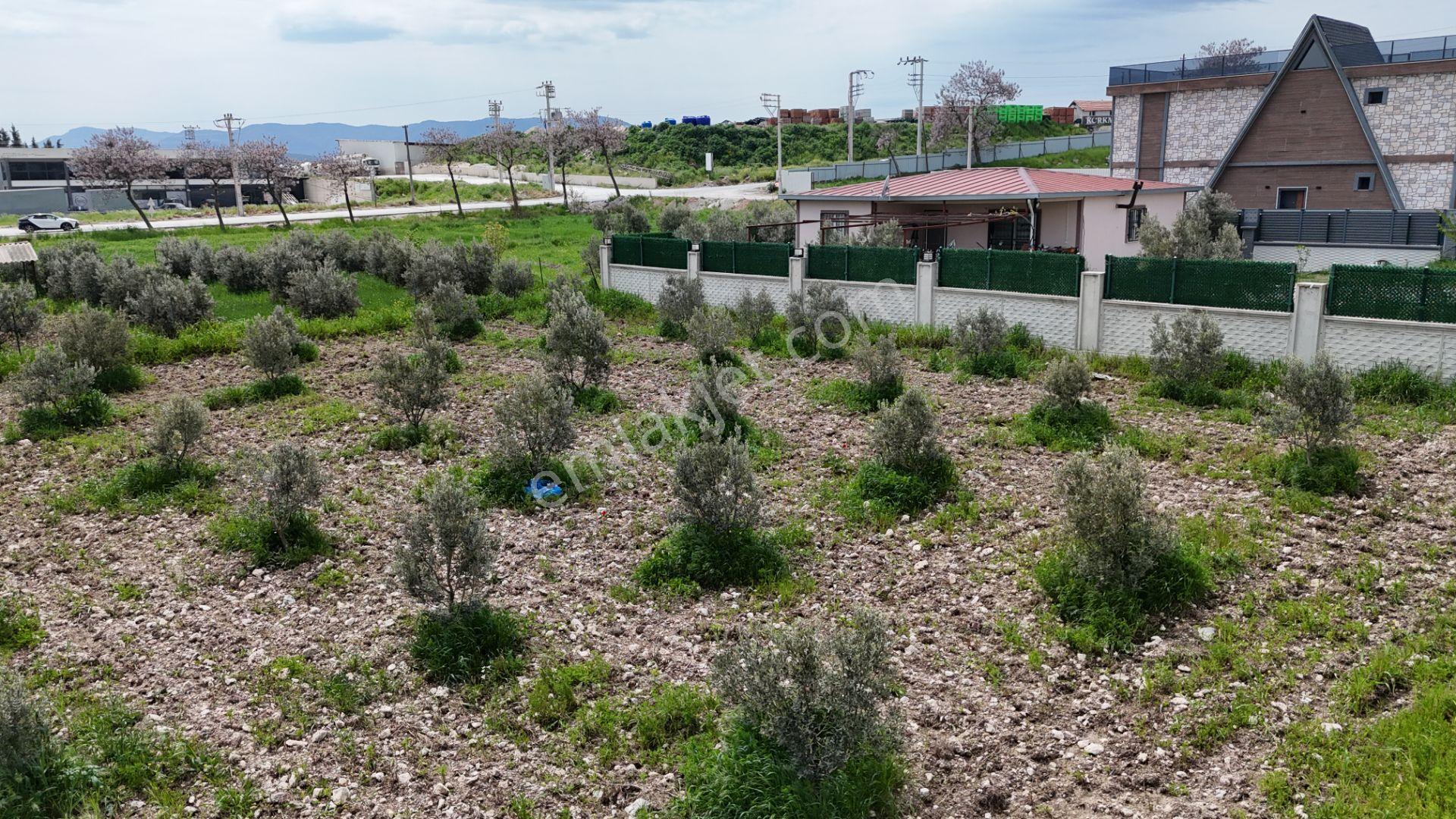 İzmir Menderes Tekelide Konut-villa 695 M2 Doğalgazlı Köşe Arsa İnşaat Yap - Görsel 5