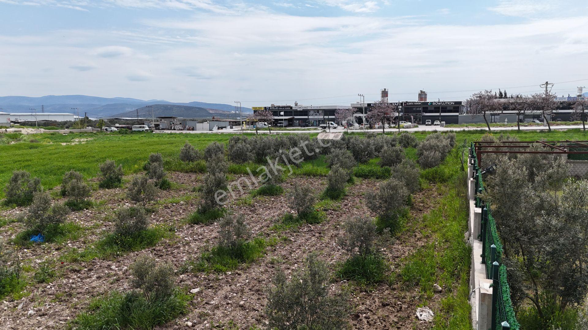 İzmir Menderes Tekelide Konut-villa 695 M2 Doğalgazlı Köşe Arsa İnşaat Yap - Görsel 12