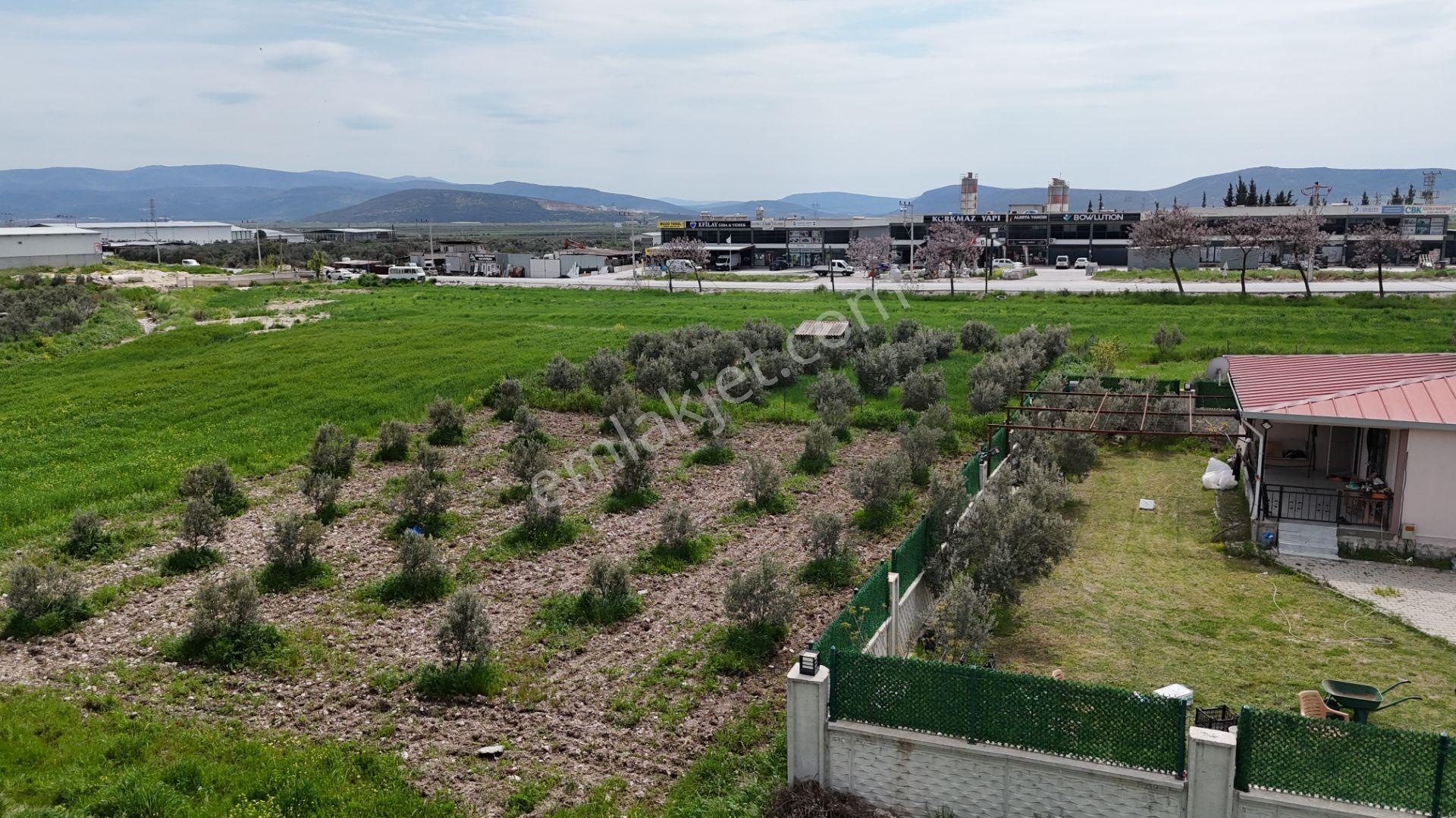 İzmir Menderes Tekelide Konut-villa 695 M2 Doğalgazlı Köşe Arsa İnşaat Yap - Görsel 18