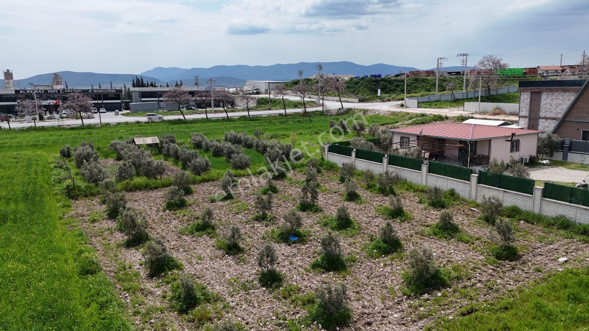 İzmir Menderes Tekelide Konut-villa 695 M2 Doğalgazlı Köşe Arsa İnşaat Yap - Görsel 22
