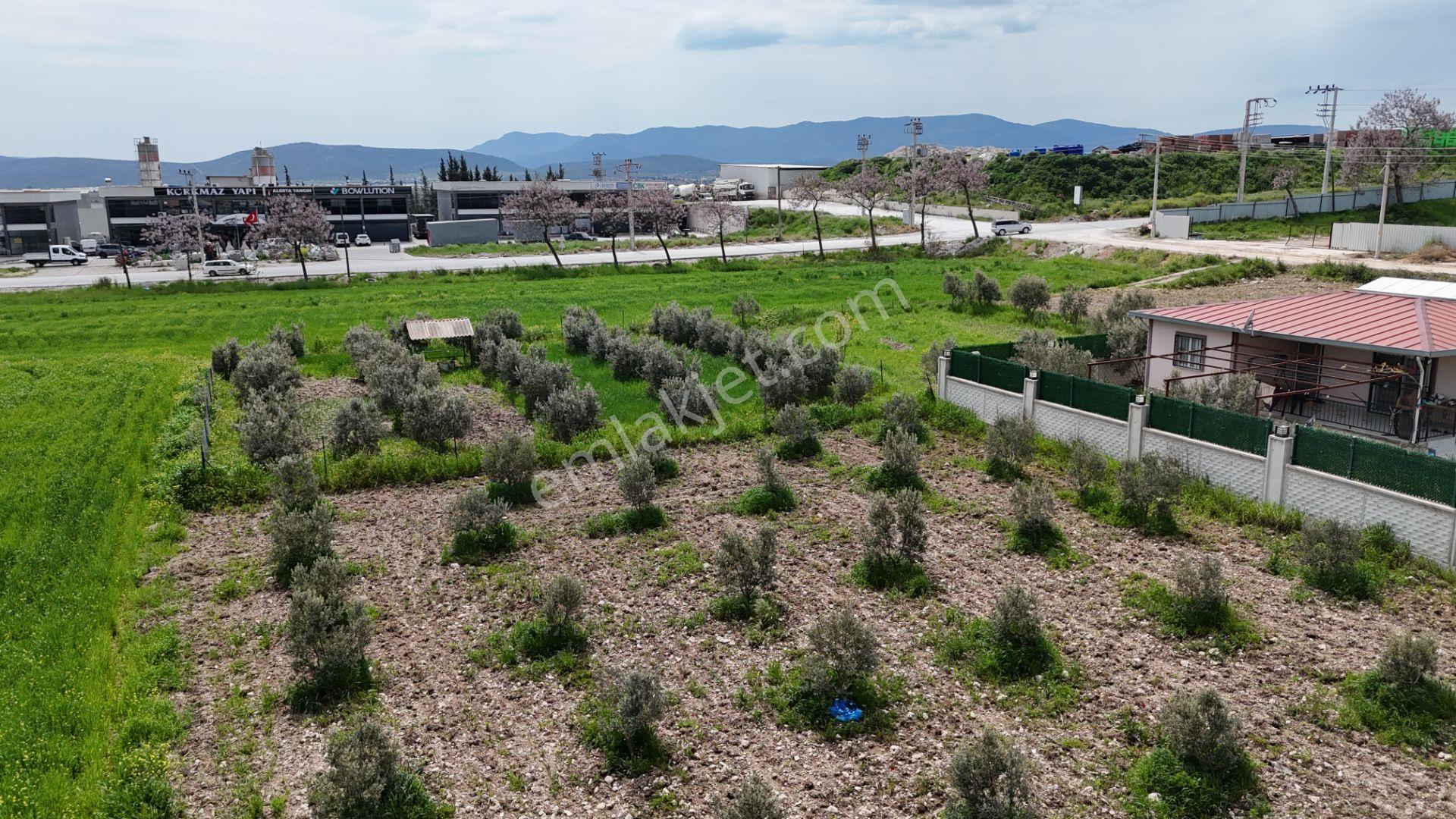 İzmir Menderes Tekelide Konut-villa 695 M2 Doğalgazlı Köşe Arsa İnşaat Yap - Görsel 8