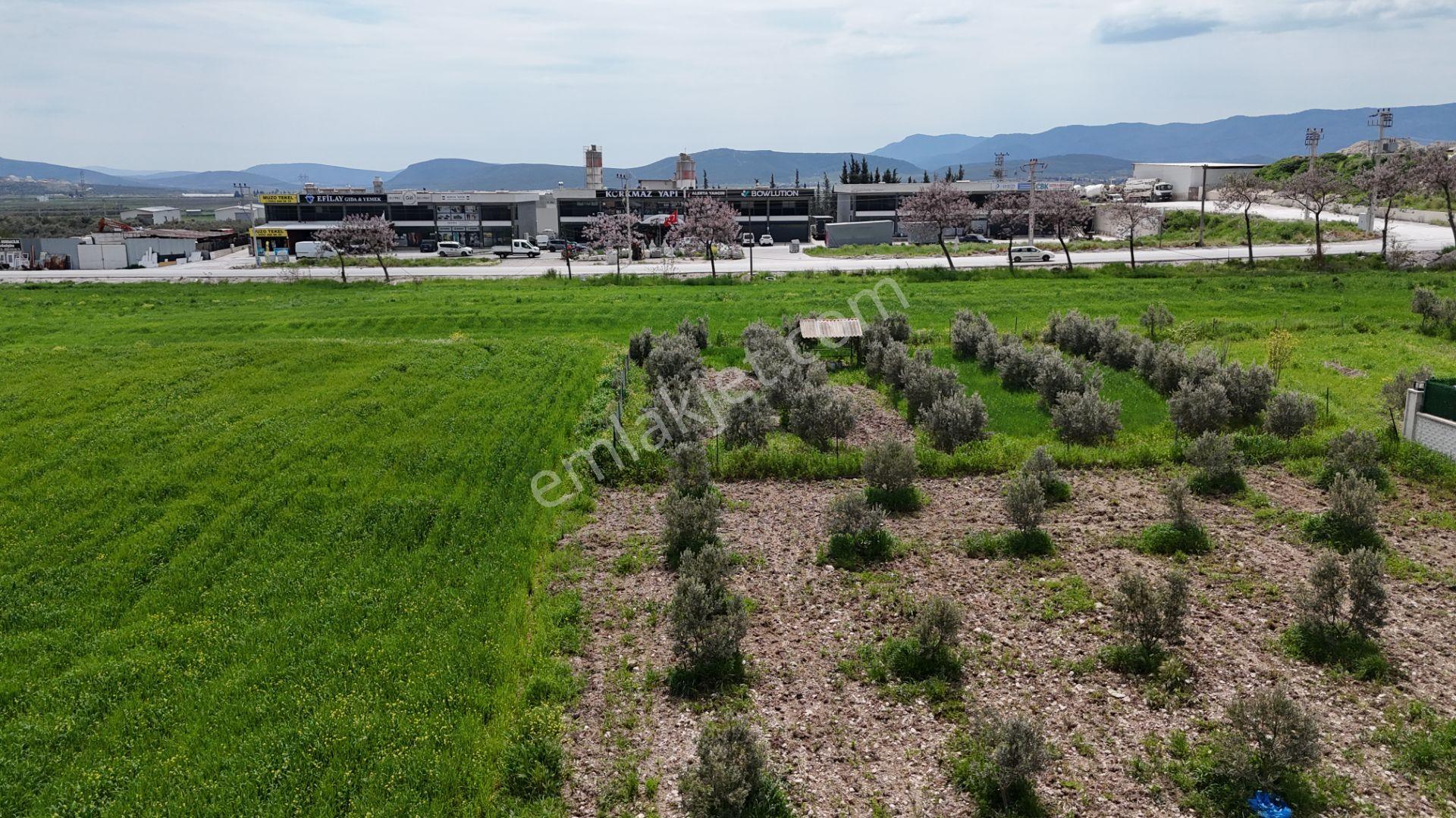 İzmir Menderes Tekelide Konut-villa 695 M2 Doğalgazlı Köşe Arsa İnşaat Yap - Görsel 20