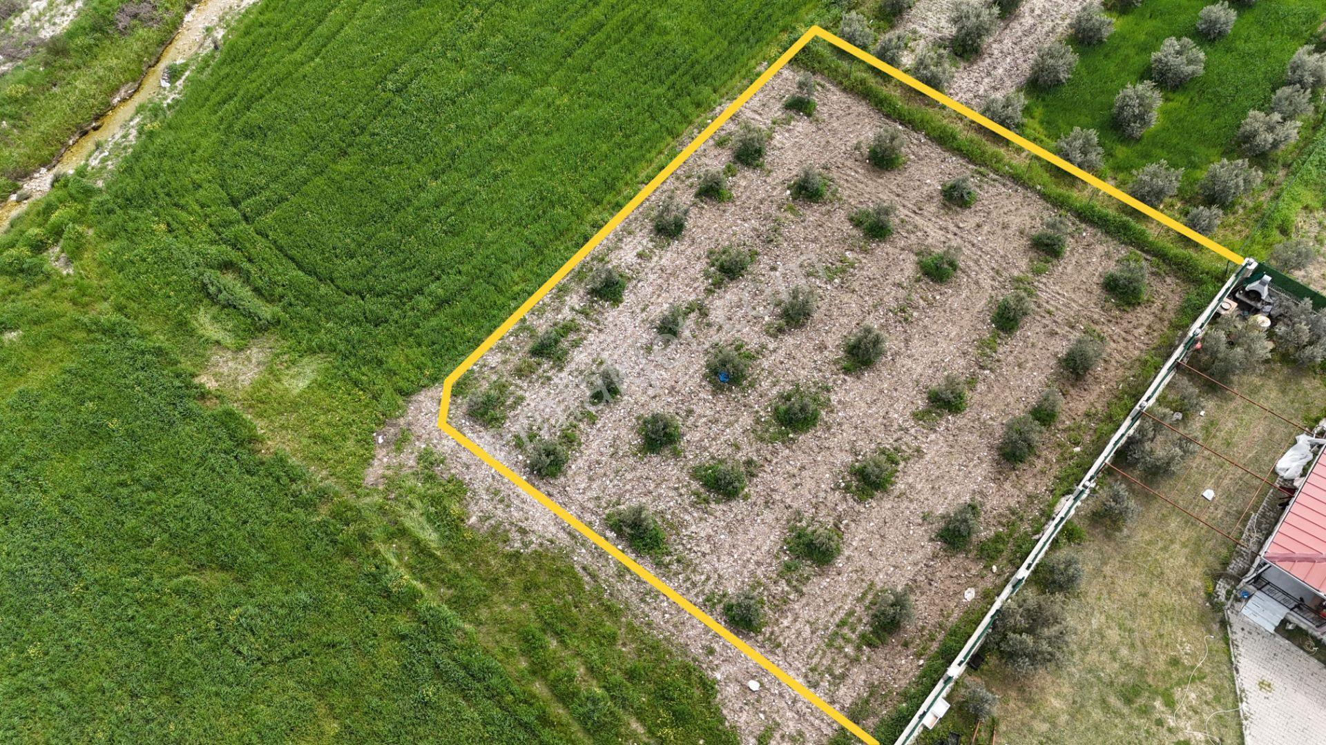 İzmir Menderes Tekelide Konut-villa 695 M2 Doğalgazlı Köşe Arsa İnşaat Yap - Görsel 13