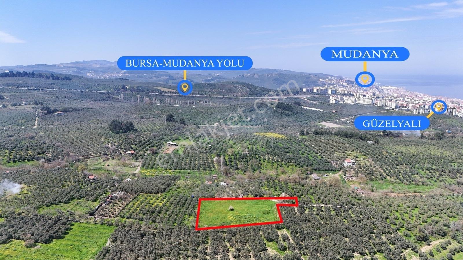 Bursa Mudanya Güzelyalı Eğitim Mahallesinde Satılık Tarla - Görsel 9