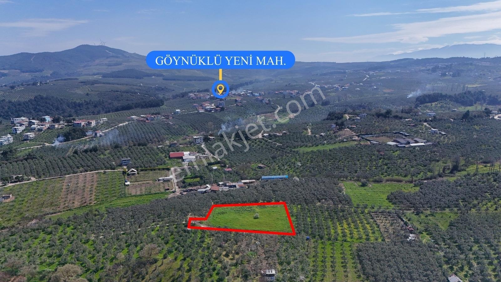Bursa Mudanya Güzelyalı Eğitim Mahallesinde Satılık Tarla - Görsel 5