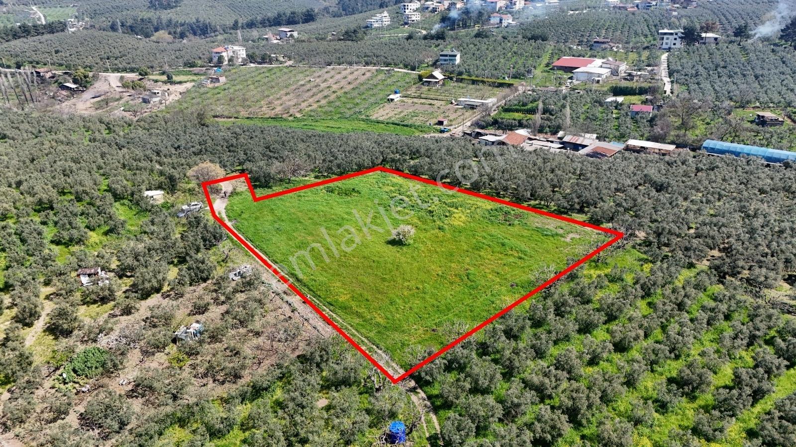 Bursa Mudanya Güzelyalı Eğitim Mahallesinde Satılık Tarla - Görsel 32
