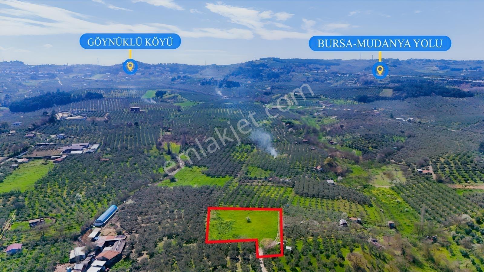 Bursa Mudanya Güzelyalı Eğitim Mahallesinde Satılık Tarla - Görsel 3