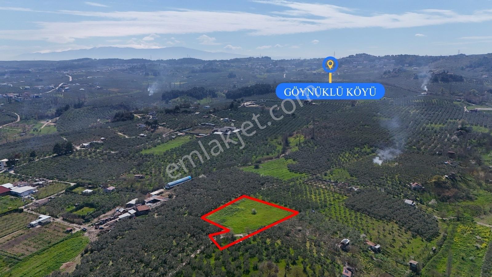 Bursa Mudanya Güzelyalı Eğitim Mahallesinde Satılık Tarla - Görsel 20