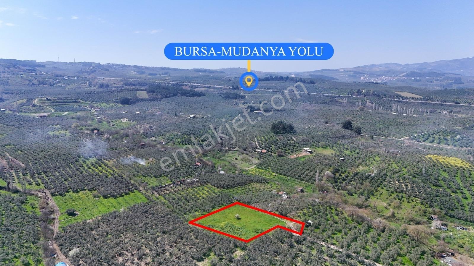 Bursa Mudanya Güzelyalı Eğitim Mahallesinde Satılık Tarla - Görsel 6