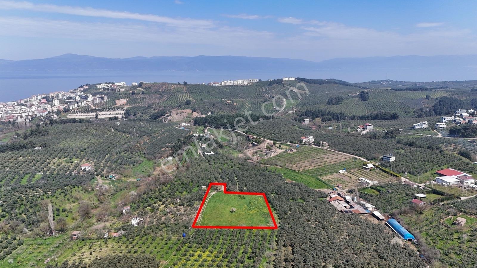 Bursa Mudanya Güzelyalı Eğitim Mahallesinde Satılık Tarla - Görsel 19