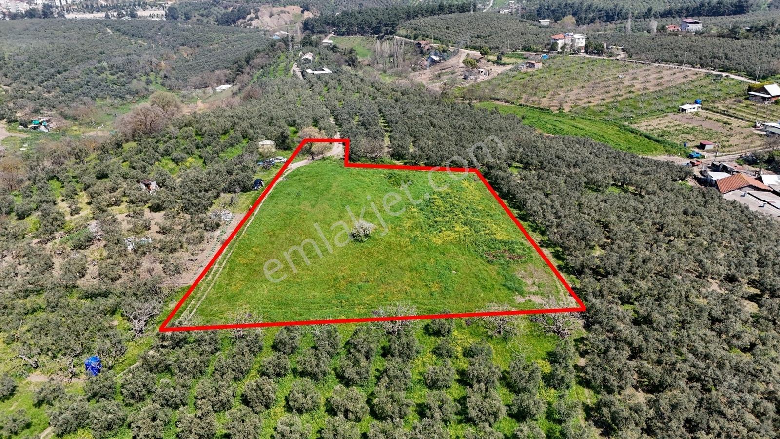 Bursa Mudanya Güzelyalı Eğitim Mahallesinde Satılık Tarla - Görsel 16