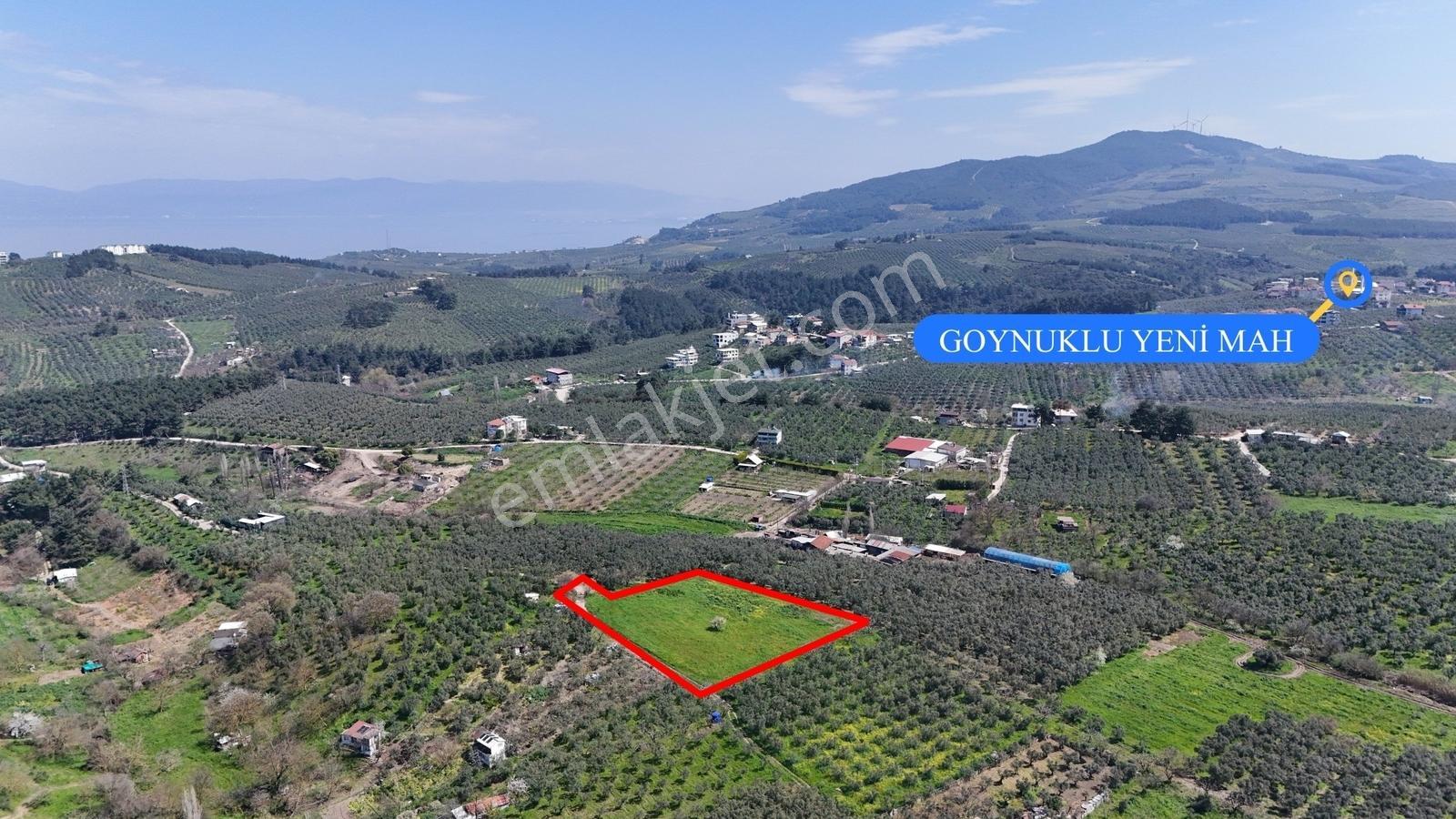 Bursa Mudanya Güzelyalı Eğitim Mahallesinde Satılık Tarla - Görsel 4
