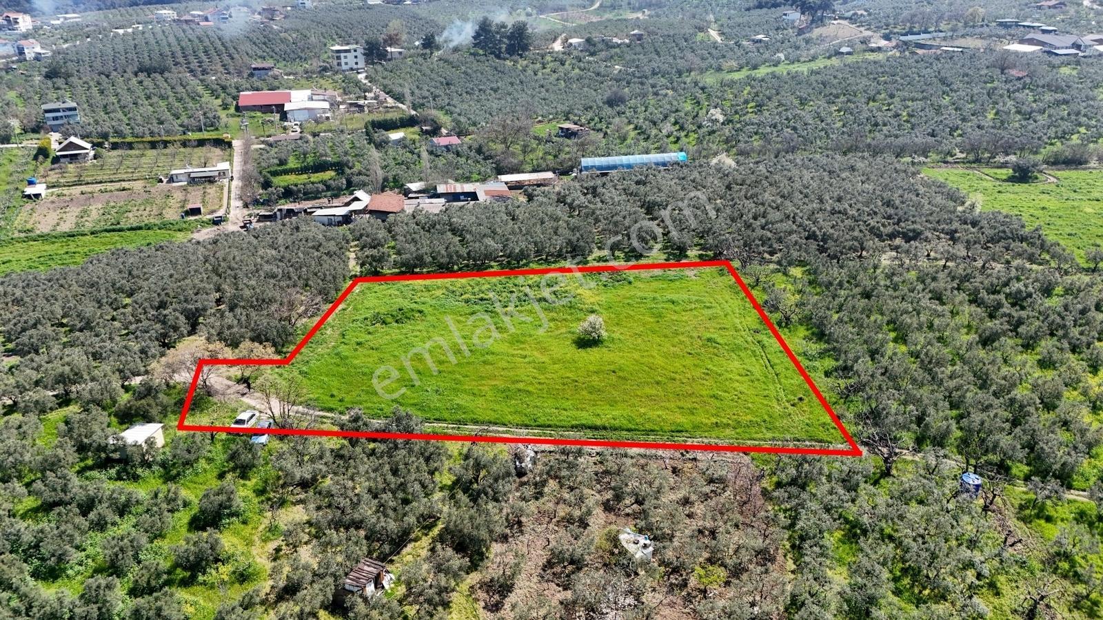 Bursa Mudanya Güzelyalı Eğitim Mahallesinde Satılık Tarla - Görsel 2