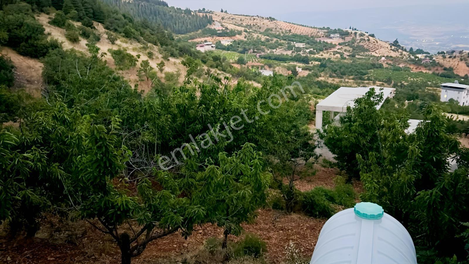 Farkmaraş Gayrimenkul Den Gafarlı Da Satılık Bağ-bahçe - Görsel 15