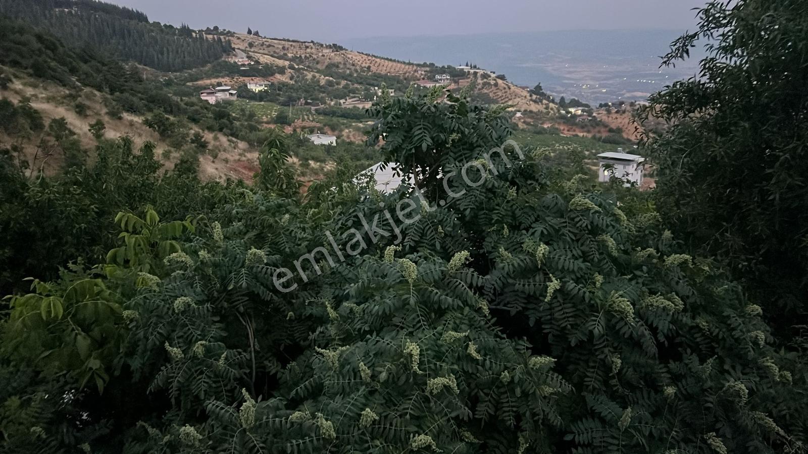 Farkmaraş Gayrimenkul Den Gafarlı Da Satılık Bağ-bahçe - Görsel 2