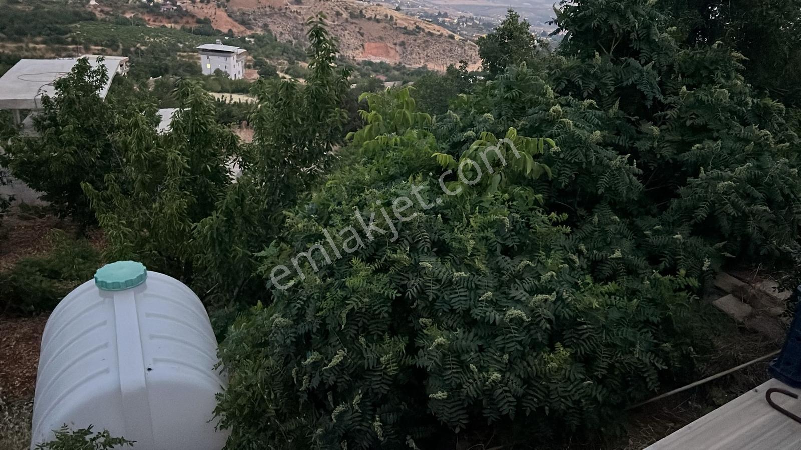 Farkmaraş Gayrimenkul Den Gafarlı Da Satılık Bağ-bahçe - Görsel 4