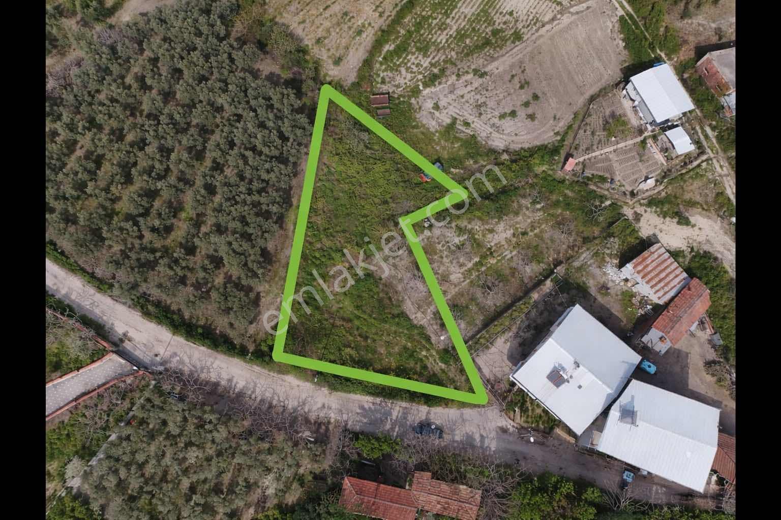 Expert'ten Mudanya Yaylacık'ta Ev Yapımına Uygun 1 Dönüm Tarla