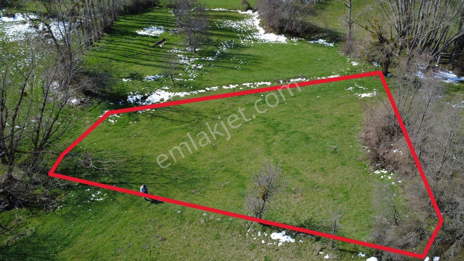Çorum İskilip Sorkun Köyünde Satılık Tarla - Görsel 2