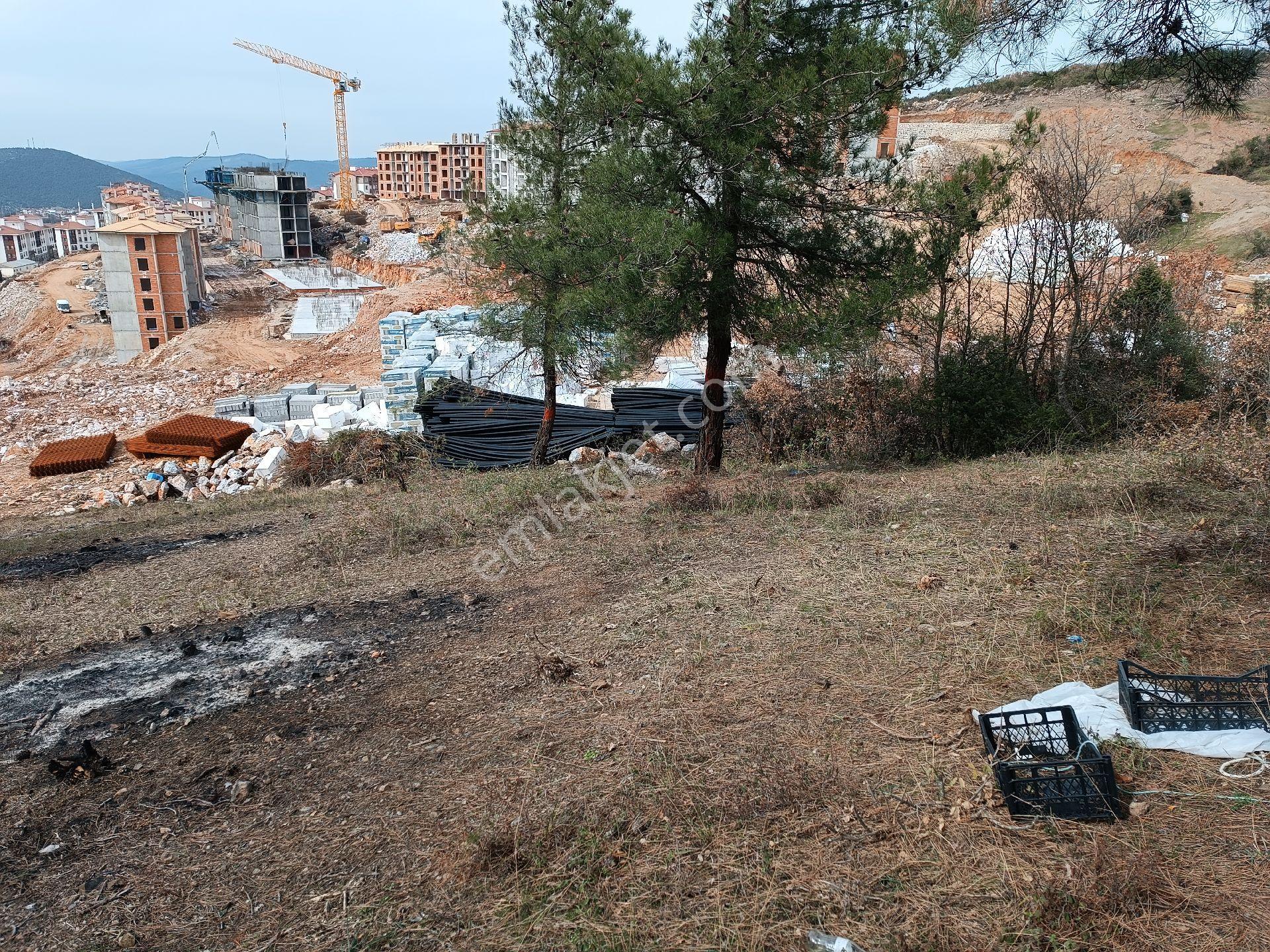 Satılık Bağ Toki Ye Bitişik Manzaralı Yatırımlık - Görsel 14