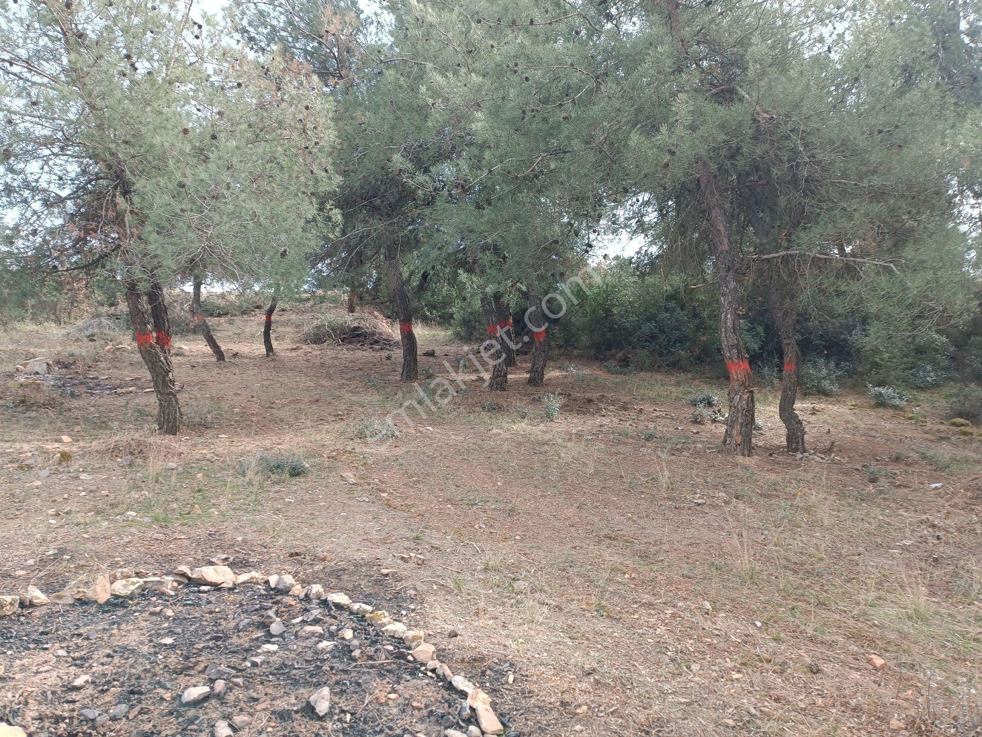 Satılık Bağ Toki Ye Bitişik Manzaralı Yatırımlık - Görsel 13