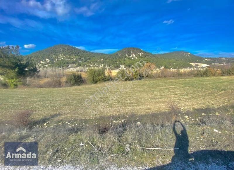 Manisa Demirci Gümelede Fırsat 1.319 M² Satılık Tarla - Görsel 2