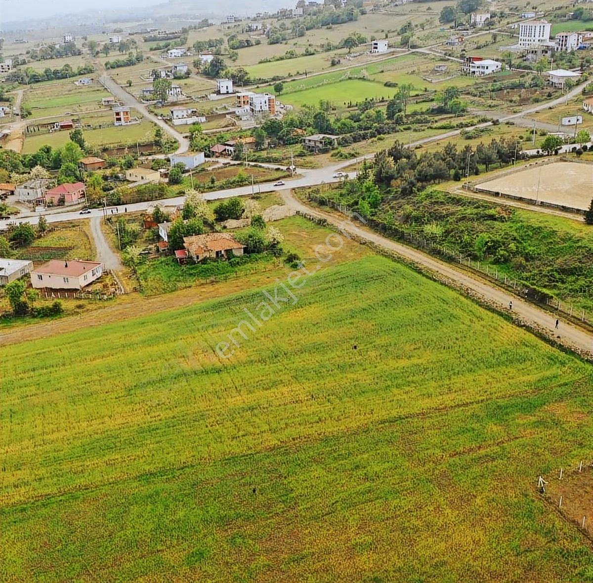 Büyükoyumca'da Satılık Arsa - Görsel 6