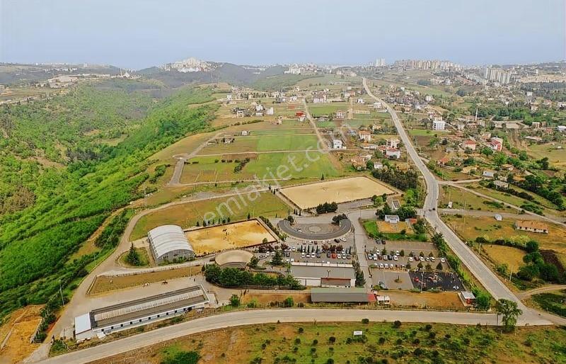 Büyükoyumca'da Satılık Arsa - Görsel 7