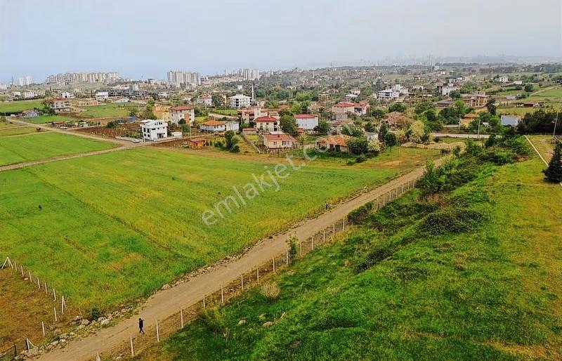 Büyükoyumca'da Satılık Arsa - Görsel 8