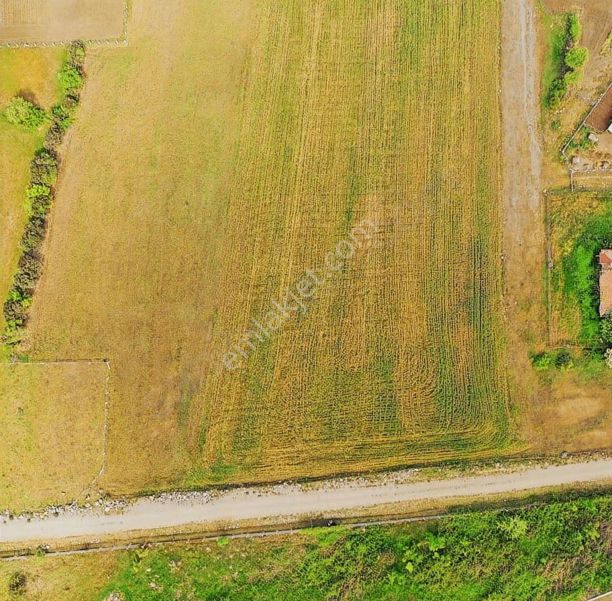 Büyükoyumca'da Satılık Arsa - Görsel 12