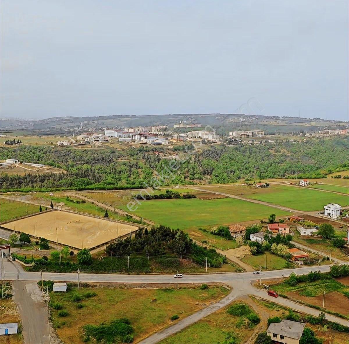Büyükoyumca'da Satılık Arsa - Görsel 11