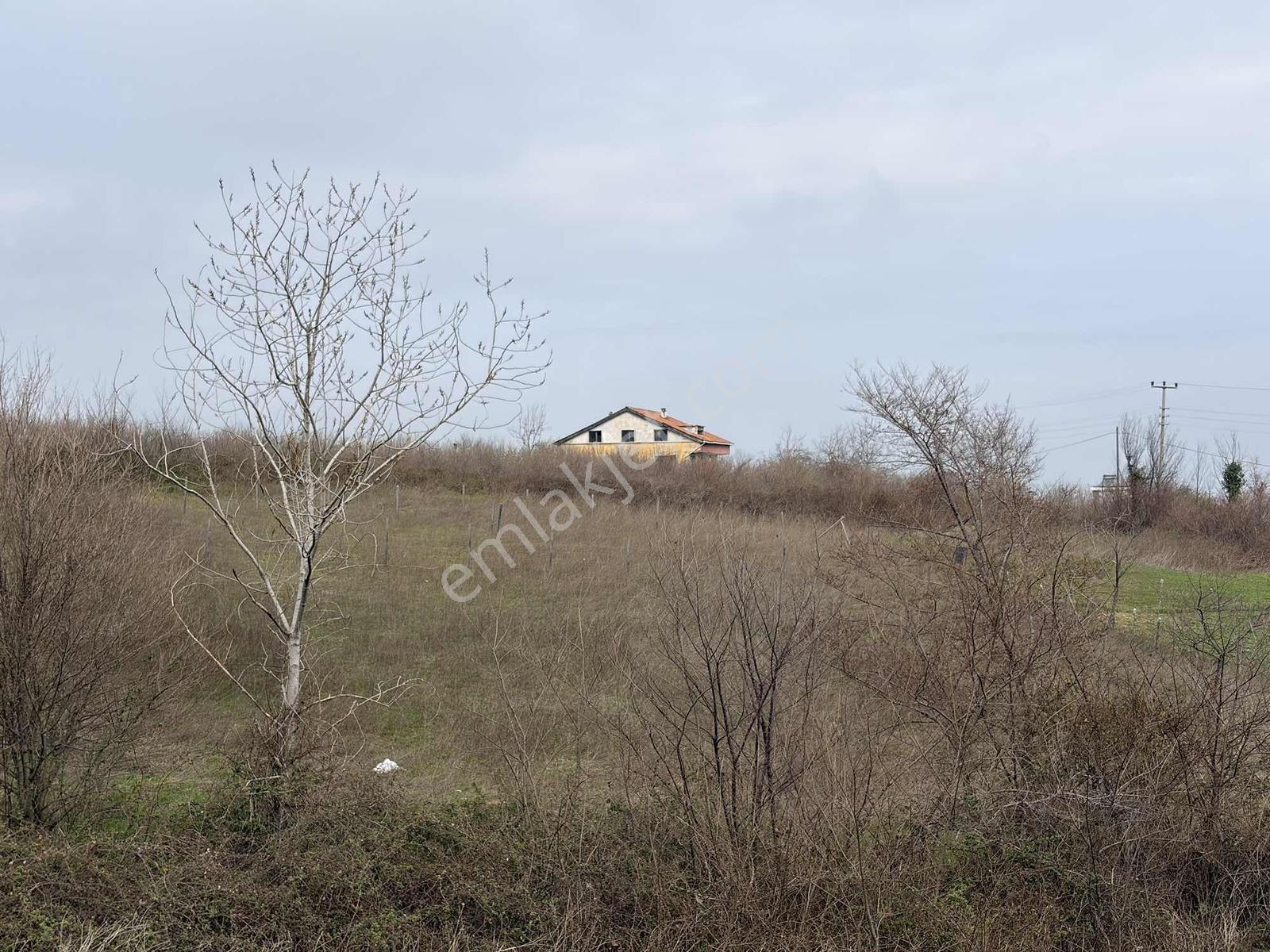 19 Mayıs Dereköy'de Villa İmarlı 688 M2 Satılık Arsa - Görsel 2