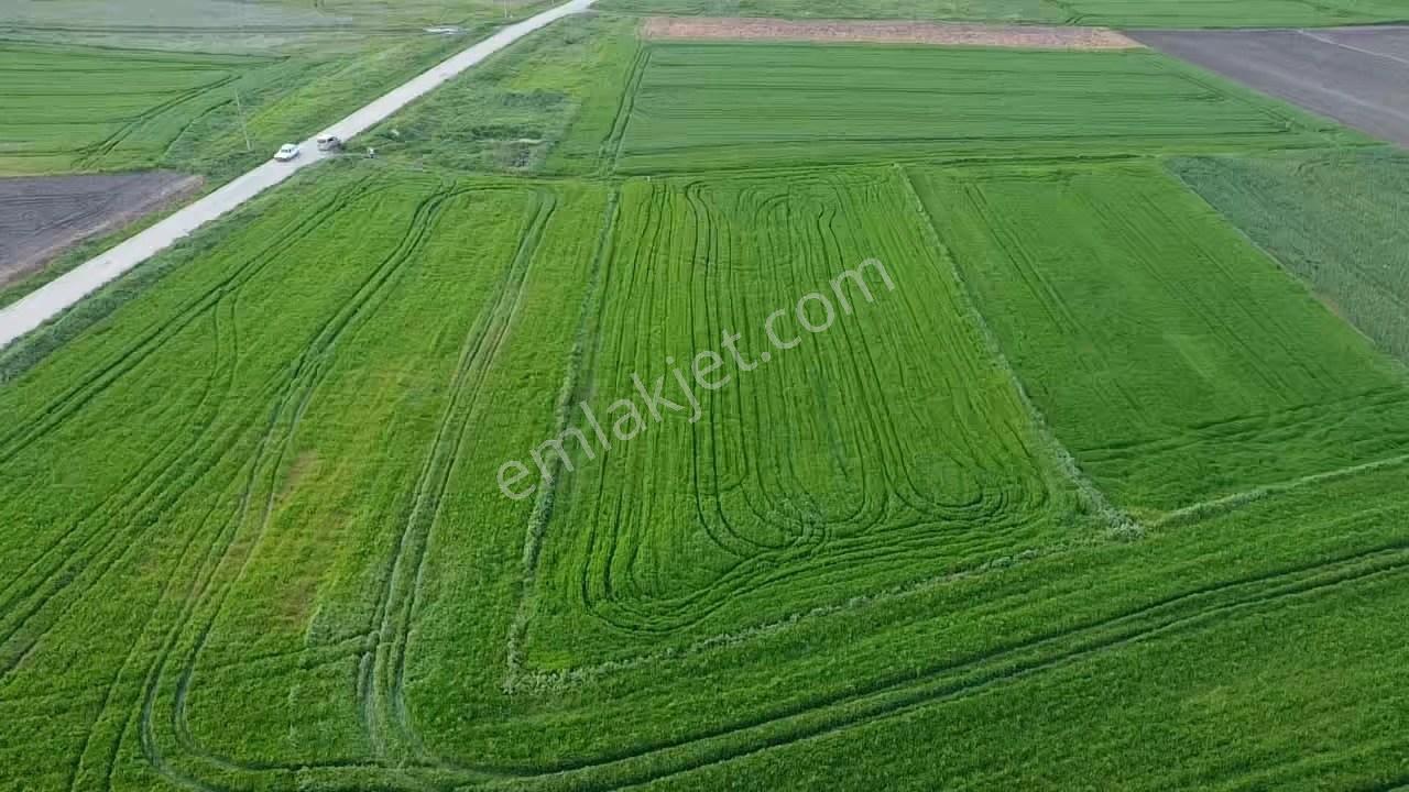 Balıkesır Gönen Paşa Çıftlık Mahallesı’nde 3322 Metre² Satılık Tarla - Görsel 12