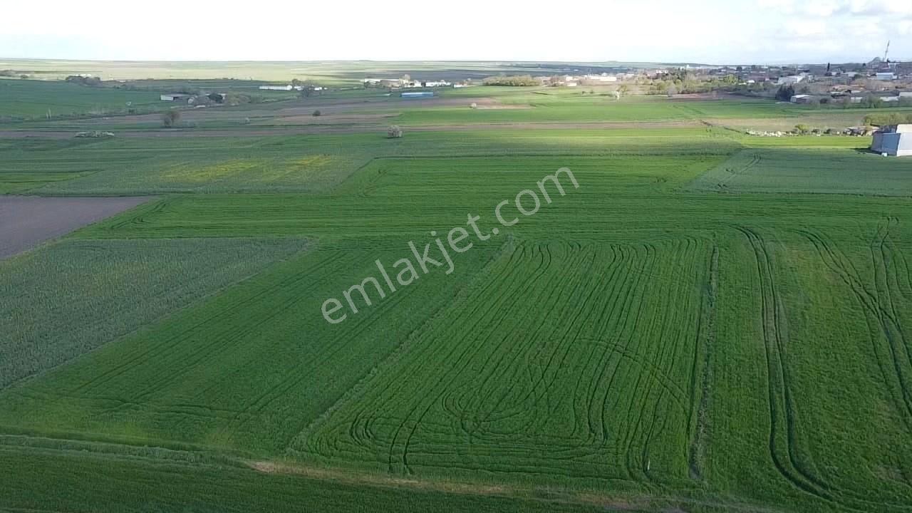 Balıkesır Gönen Paşa Çıftlık Mahallesı’nde 3322 Metre² Satılık Tarla - Görsel 6