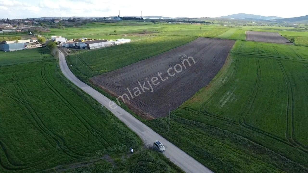 Balıkesır Gönen Paşa Çıftlık Mahallesı’nde 3322 Metre² Satılık Tarla - Görsel 15