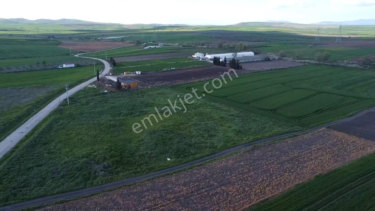 Balıkesır Gönen Paşa Çıftlık Mahallesı’nde 3322 Metre² Satılık Tarla - Görsel 8