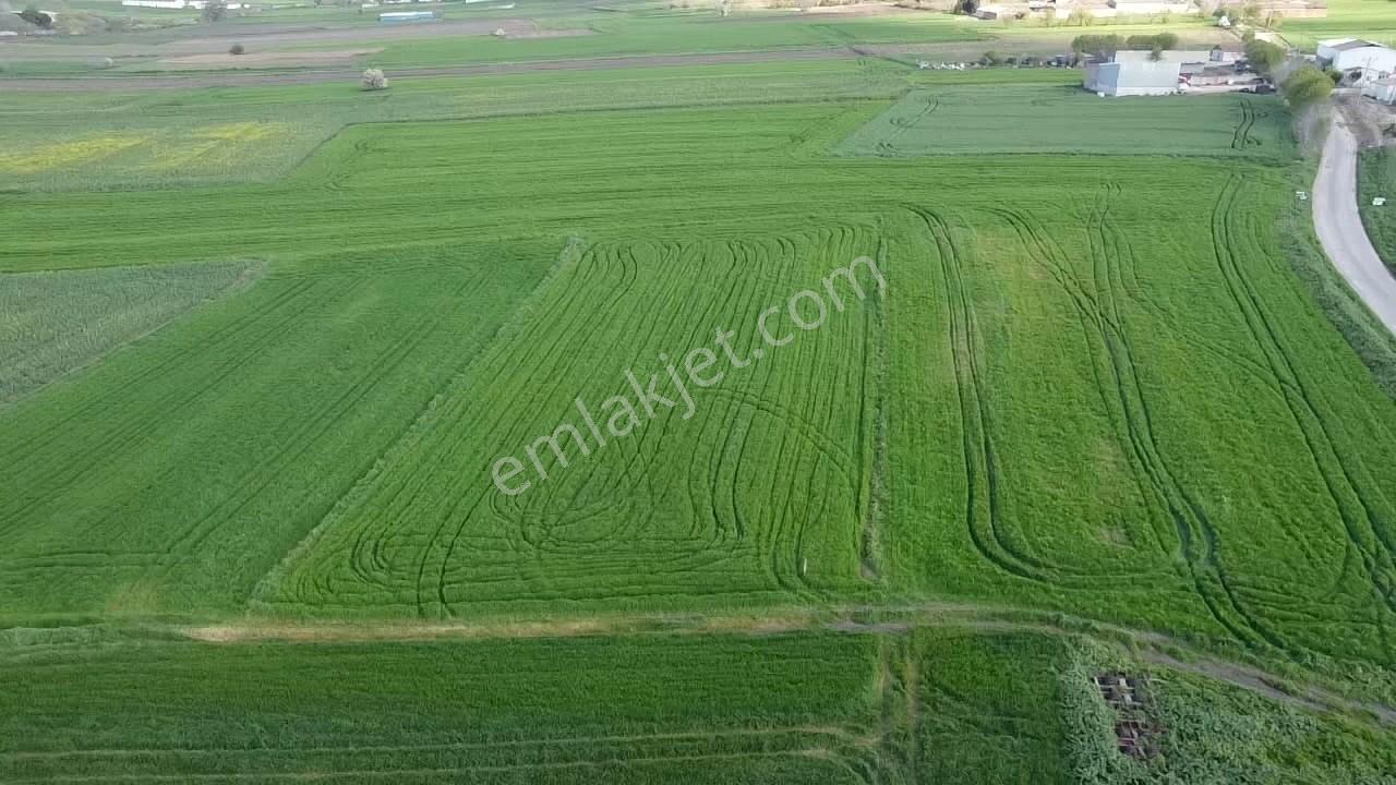 Balıkesır Gönen Paşa Çıftlık Mahallesı’nde 3322 Metre² Satılık Tarla - Görsel 4