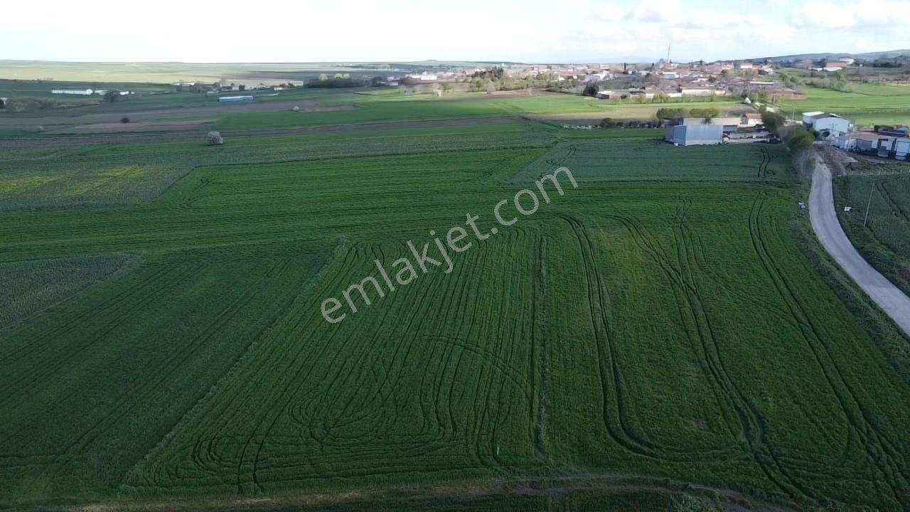 Balıkesır Gönen Paşa Çıftlık Mahallesı’nde 3322 Metre² Satılık Tarla - Görsel 13