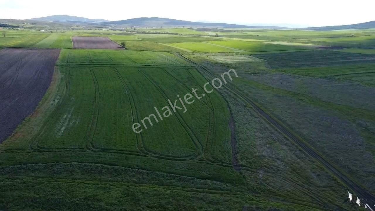 Balıkesır Gönen Paşa Çıftlık Mahallesı’nde 3322 Metre² Satılık Tarla - Görsel 5
