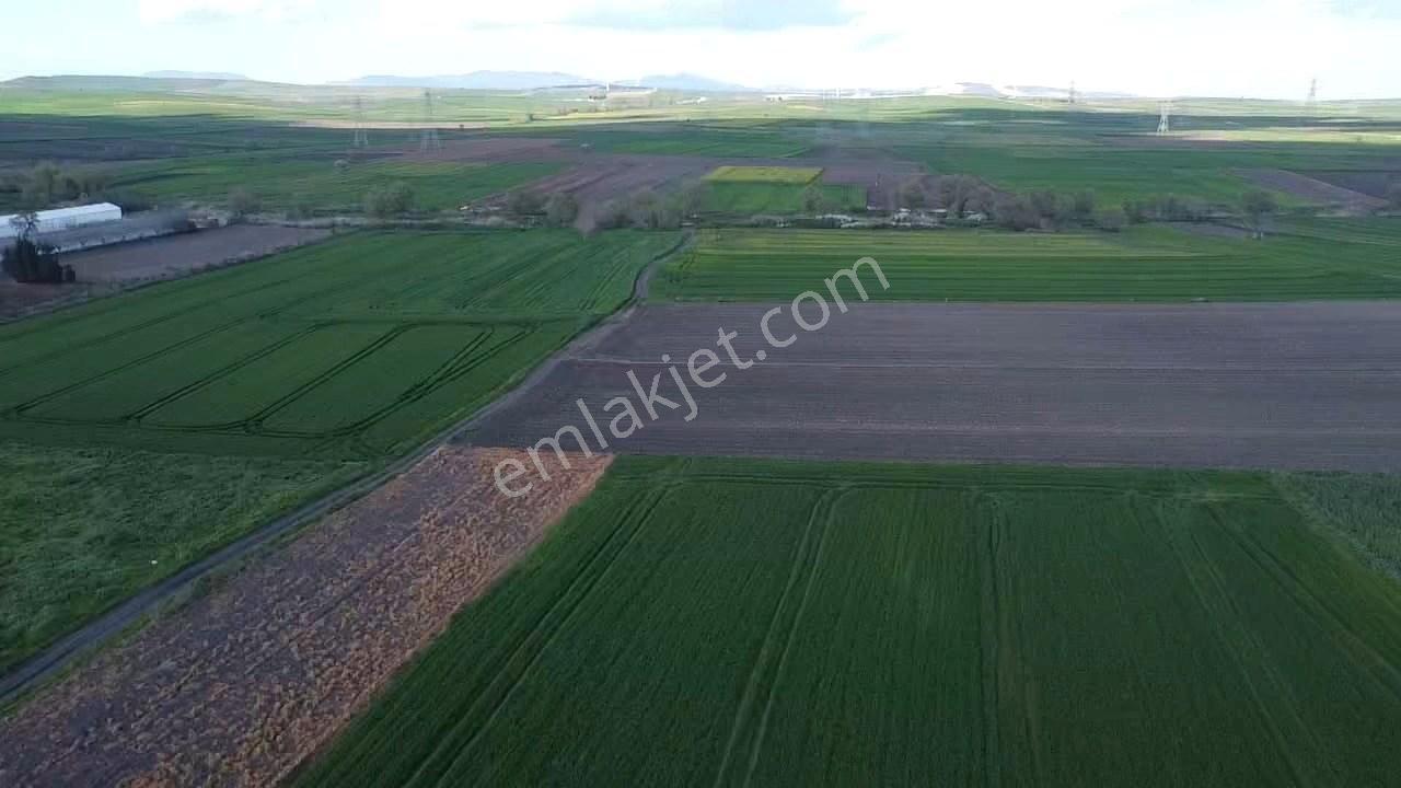 Balıkesır Gönen Paşa Çıftlık Mahallesı’nde 3322 Metre² Satılık Tarla - Görsel 7