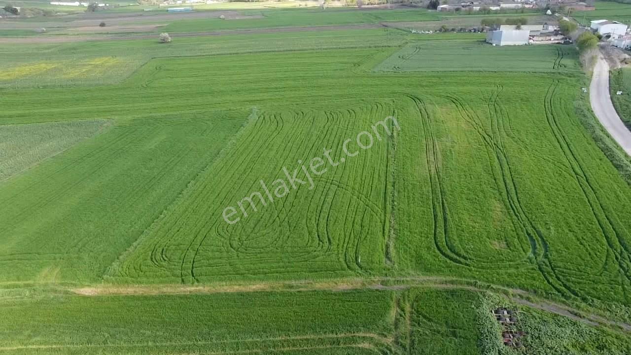 Balıkesır Gönen Paşa Çıftlık Mahallesı’nde 3322 Metre² Satılık Tarla - Görsel 9