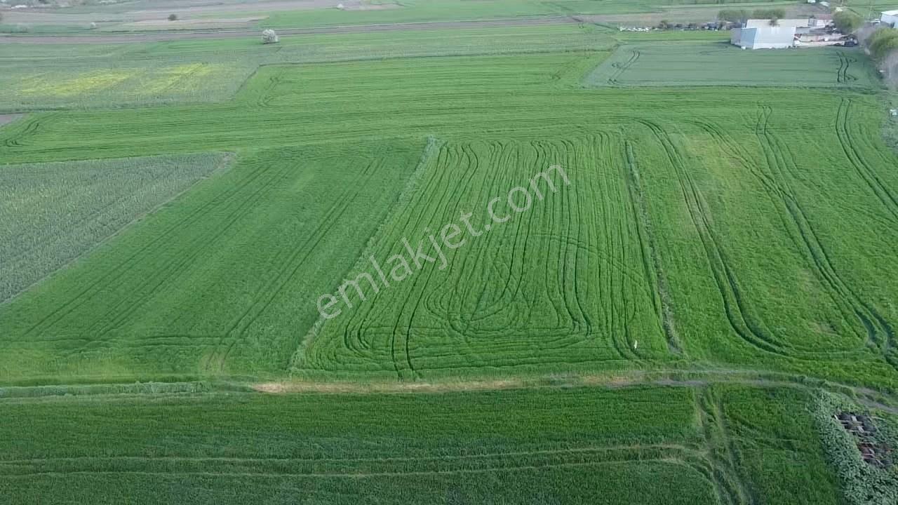 Balıkesır Gönen Paşa Çıftlık Mahallesı’nde 3322 Metre² Satılık Tarla - Görsel 11