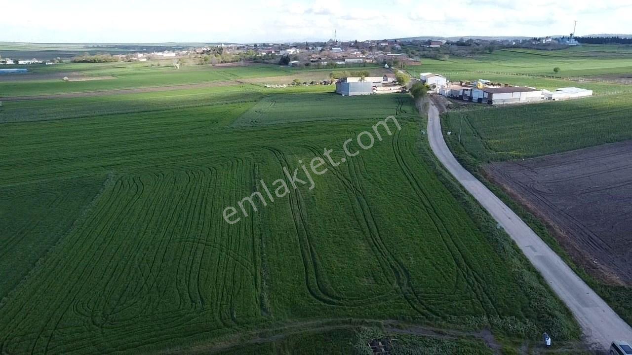 Balıkesır Gönen Paşa Çıftlık Mahallesı’nde 3322 Metre² Satılık Tarla - Görsel 17