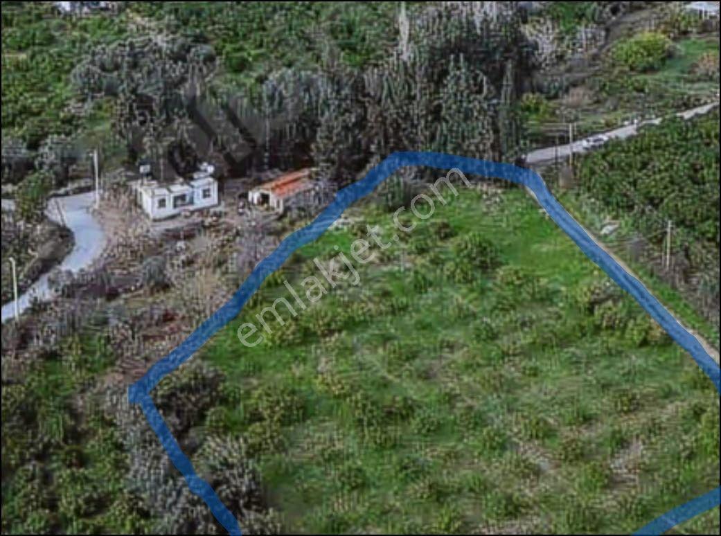 İzmir Gümüldürde Kupon Yatırımlık Deniz Manzaralı Arsa (3.040m2 Kadastral Yola Cepheli) - Görsel 3