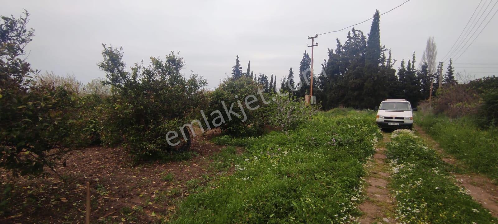 İzmir Gümüldürde Kupon Yatırımlık Deniz Manzaralı Arsa (3.040m2 Kadastral Yola Cepheli) - Görsel 9