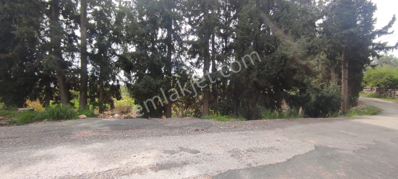 İzmir Gümüldürde Kupon Yatırımlık Deniz Manzaralı Arsa (3.040m2 Kadastral Yola Cepheli) - Görsel 6