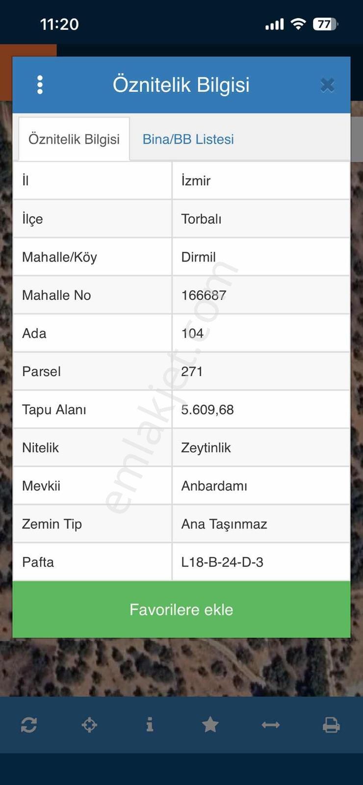 Dirmilde 1402 M2 Hisseli Zeytinlik - Görsel 2