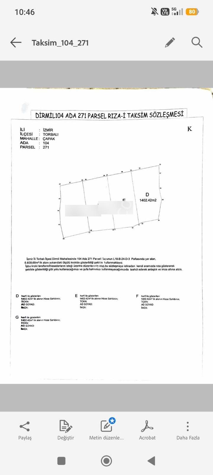 Dirmilde 1402 M2 Hisseli Zeytinlik