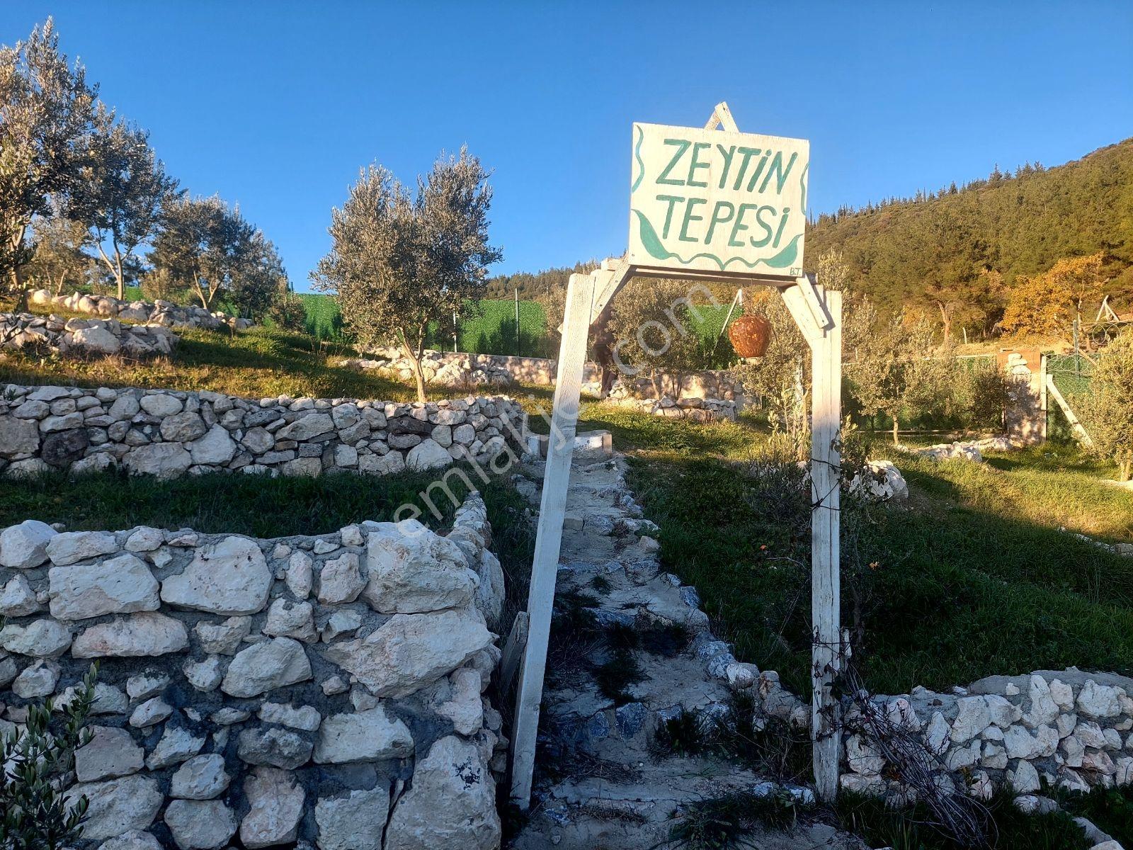 Görece De Satılık Tarla