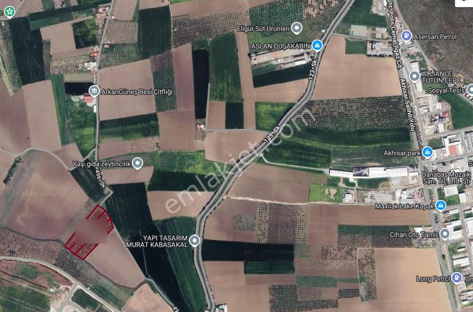 Hürriyet İmar Dibi 19260 M2 Elektrik Ve Sulu Zeytinlik - Görsel 25